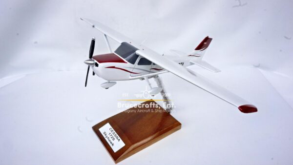 Cessna 172 Skyhawk OE-DTA - Image 10